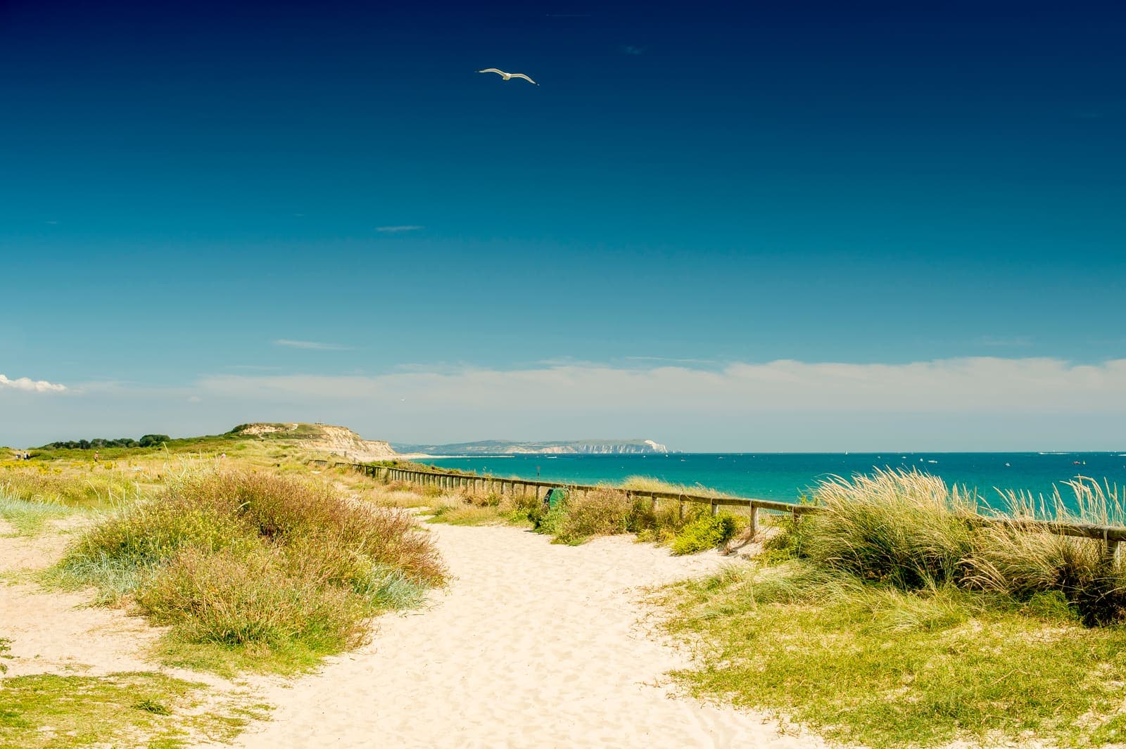 Sandy path through the dunes towards Hengistbury Head