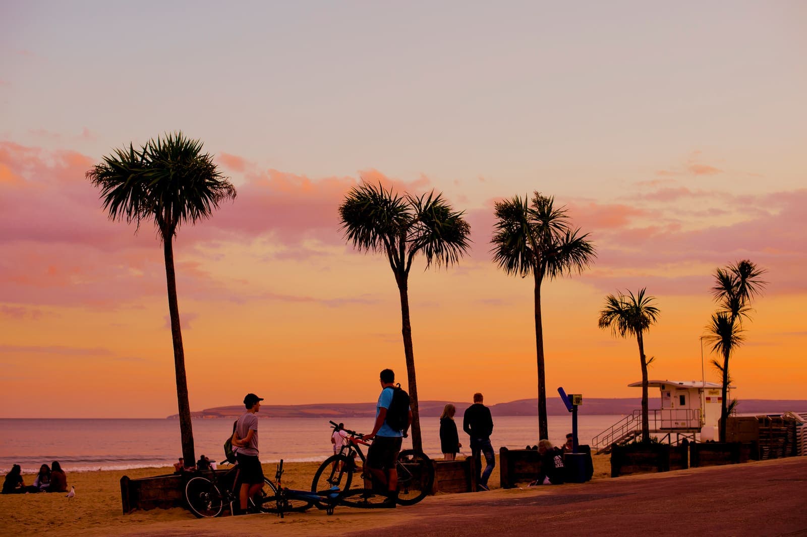 Palm trees on the Bournemouth promenade at sunset